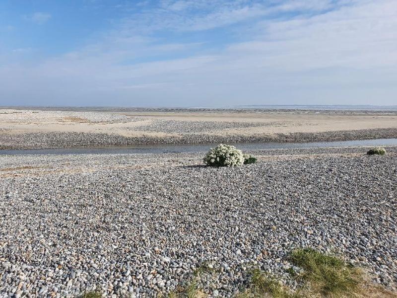 Gite Baie De Somme カイユー・シュル・メール エクステリア 写真